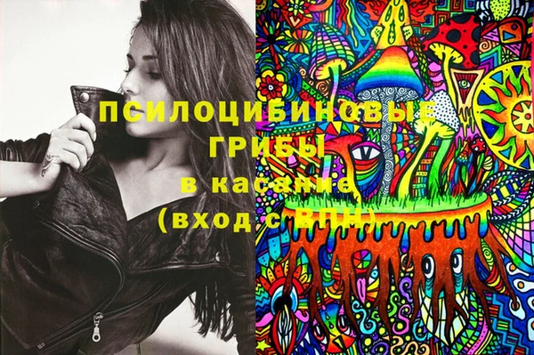 прущие крисы Алзамай