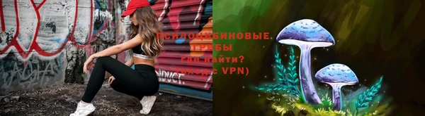 прущие крисы Алзамай