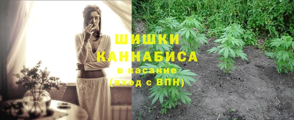 PSILOCYBIN Алексеевка