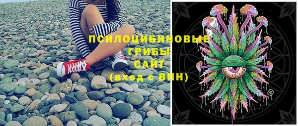 PSILOCYBIN Алексеевка