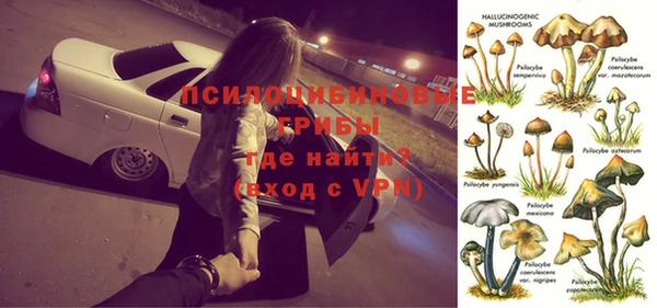 PSILOCYBIN Алексеевка