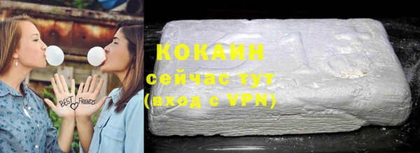 тгк Алексин